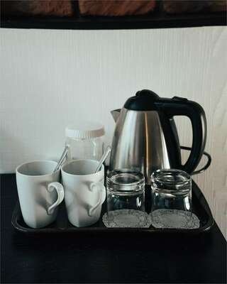 Отель Ломоносов Санкт-Петербург Двухместный номер с 2 отдельными кроватями-5